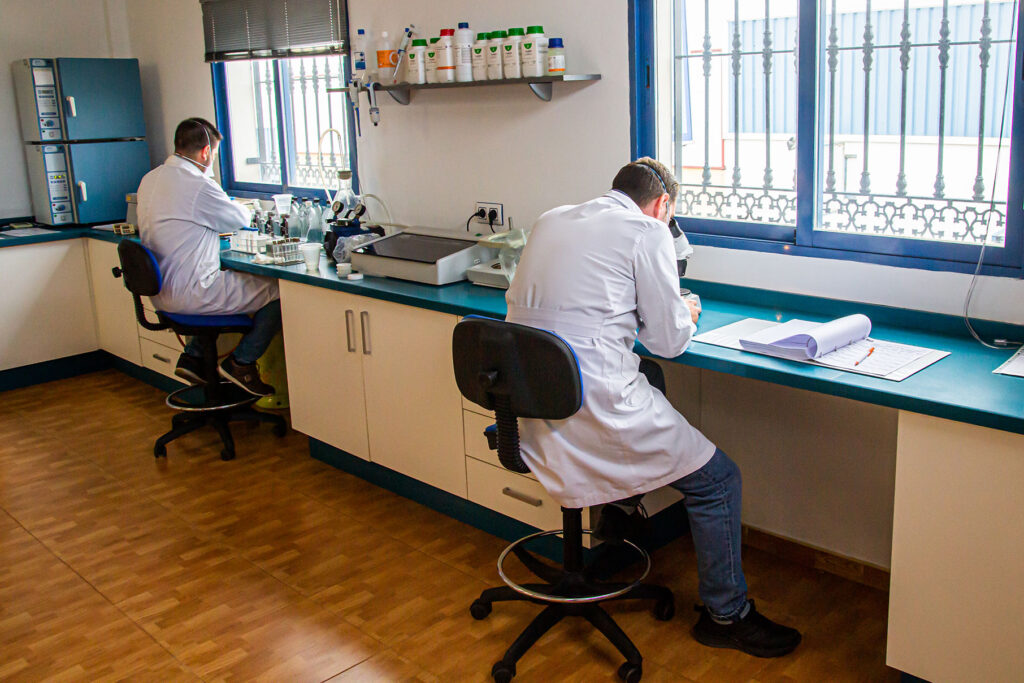 Dos científicos con mascarillas sentados en un laboratorio delante de unas ventanas. Uno de ellos está analizando muestras y el otro usando un microscopio.